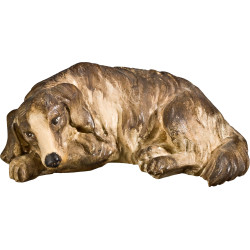 Perro tumbado
